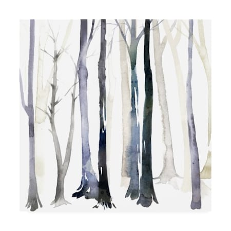 Grace Popp 'In The Forest Trees Ii' Canvas Art,35x35